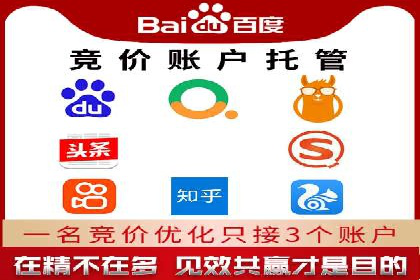 百度竞价公司案例分析：优化策略全解析